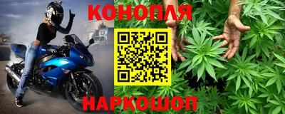 дживик Донской