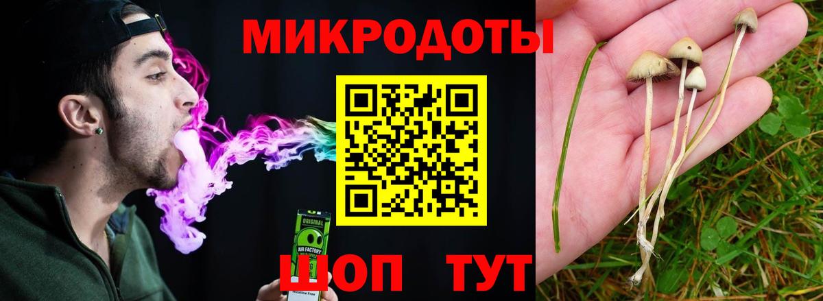 Горячий Ключ  Псилоцибиновые грибы мицелий  Вход с VPN  Псилоцибиновые грибы Psilocybine cubensis 